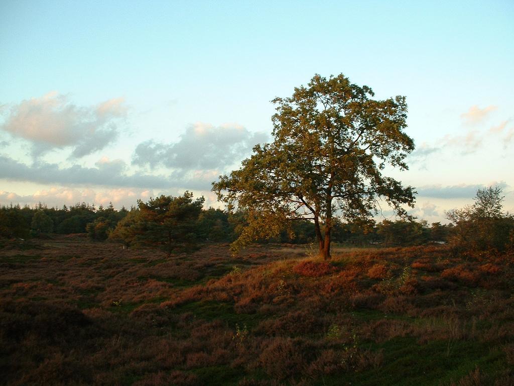 De Riekhoff Villa Een-West Luaran gambar