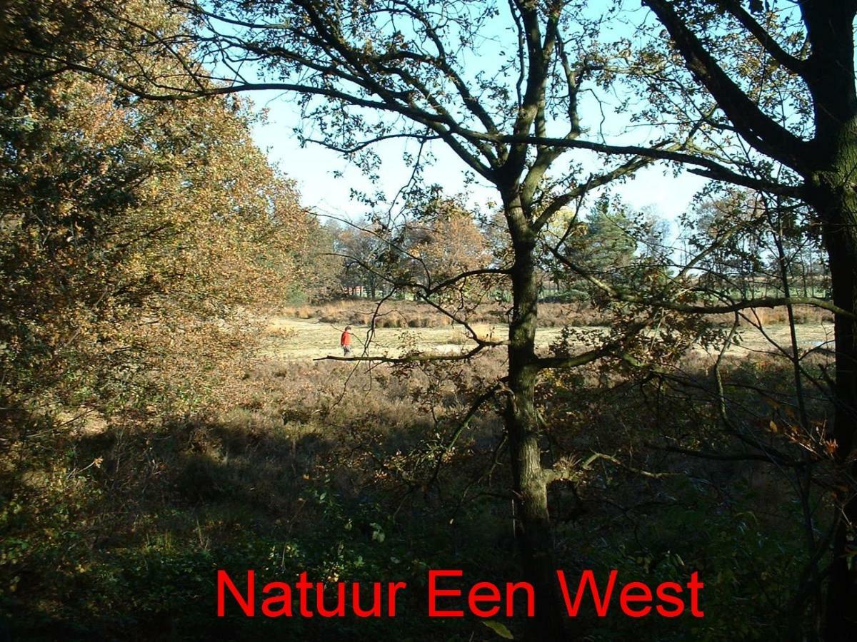 De Riekhoff Villa Een-West Luaran gambar