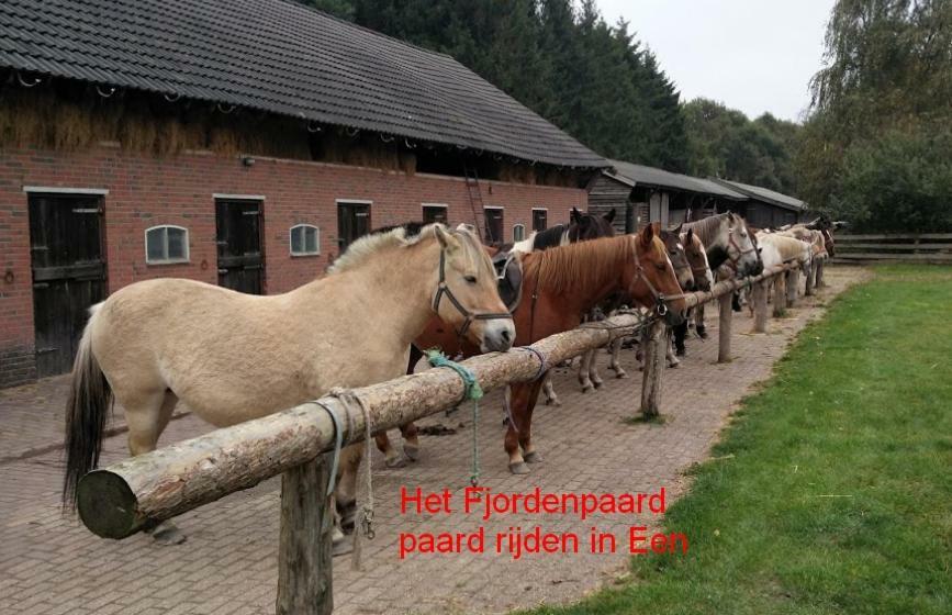 De Riekhoff Villa Een-West Luaran gambar